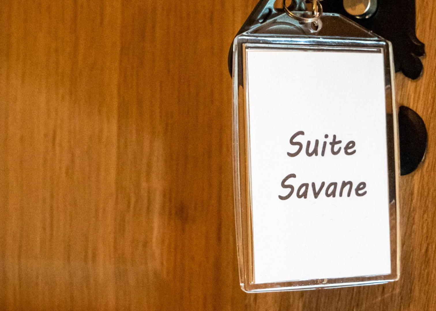 Chateau Du Bertry La Bouexiere Værelse billede